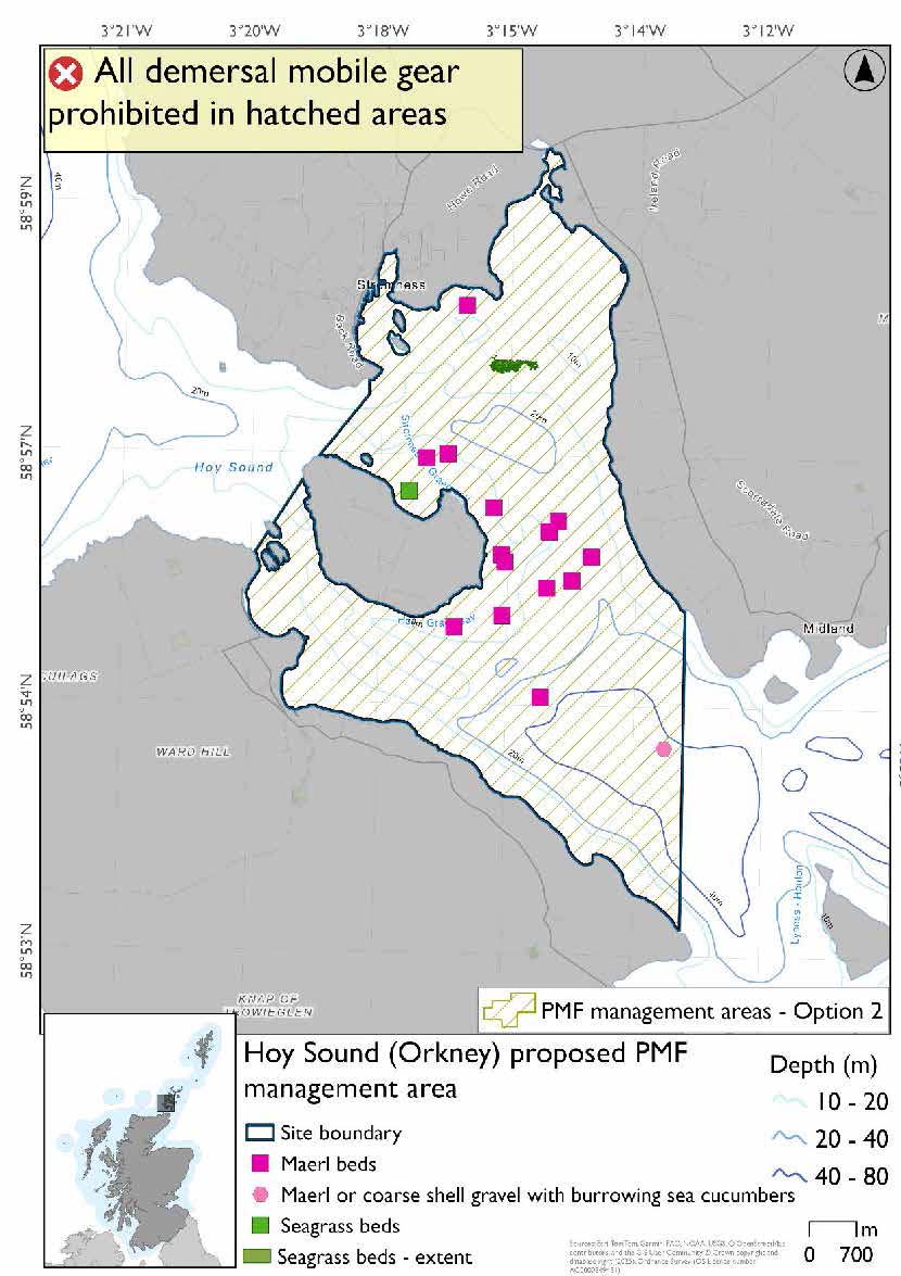 Map shows area for measures to cover the area between Hoy and Mainland from the northwest tip of Graemsay down to Green Head on Hoy. Maerl bed records are evident in the north and east of the area, with seagrass beds evident north of Graemsay. This area includes a maerl or coarse shell gravel with burrowing sea cucumbers record just north of Green head that is not included in option 1.