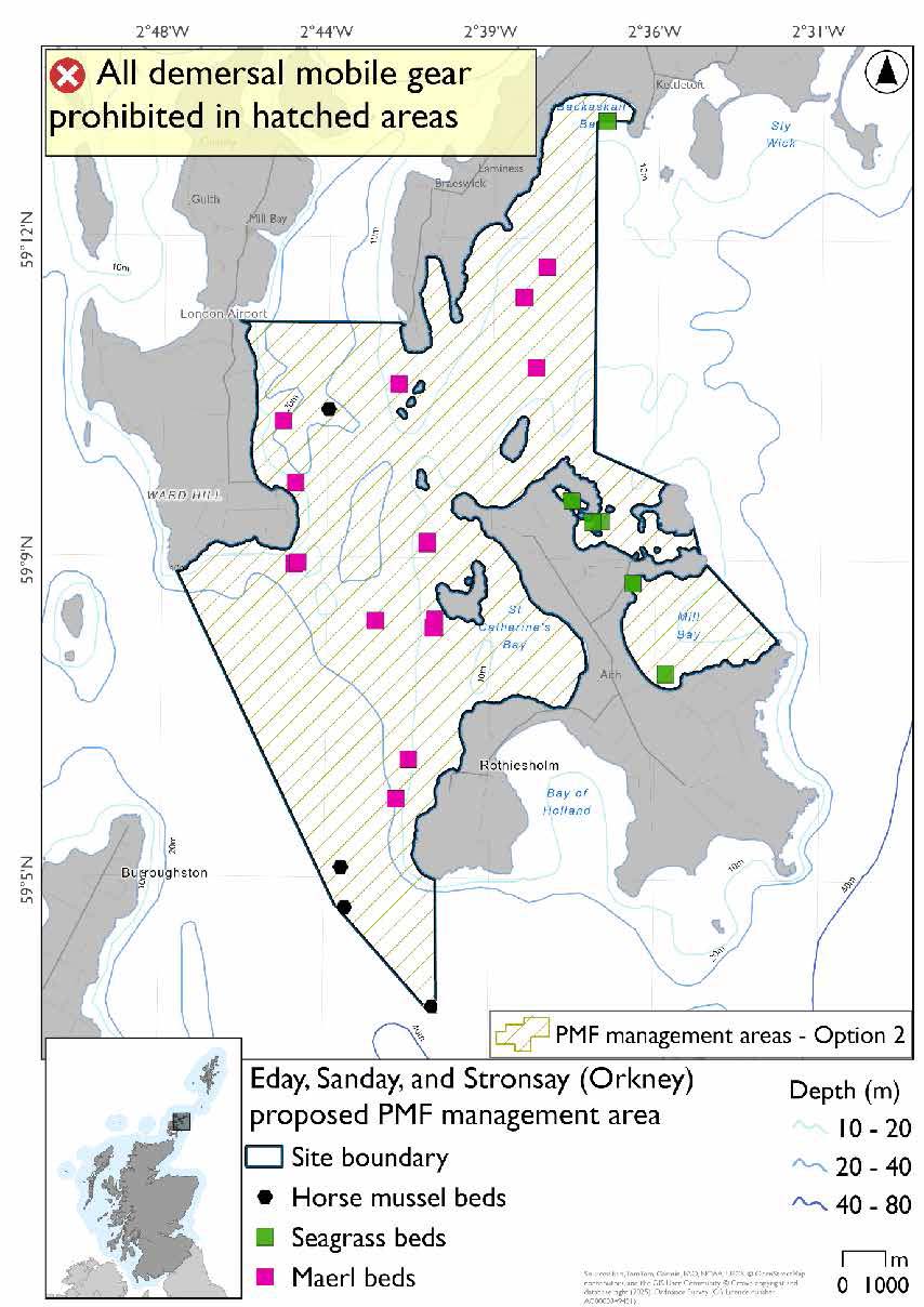 Map shows the area for measures extending from the northeast coast of Stronsay up to Sanday, and across to Eday, running south past the southwest tip of Stronsay at its southernmost. This option covers more waters south of Eday than option 1. Maerl bed records are evident throughout the area, with seagrass on the east coast of Stronsay and on the coast of Sanday. Horse mussels are evident in the southern tip of the area southwest of Stronsay.