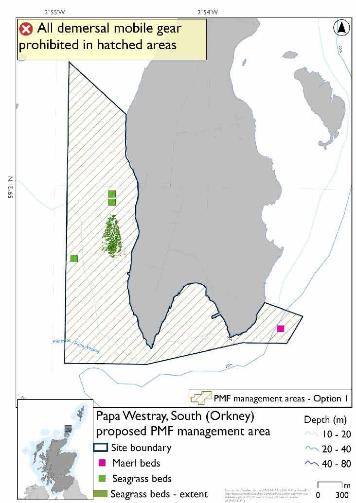 Map showing the area for measures covering the southern end of Papa Westray, and the southwest coast as far as the Knap of Howar. A Maerl bed is evident in the southeast of the area, and seagrass records exist in the west of the area.