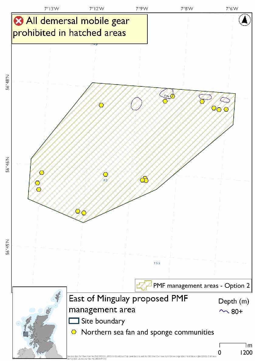 Map a single area in the open water some 20 kilometres east of Mingulay, the northeast part contains some pinnacles rising to 80m depth. Throughout this area there are northern sea fan and sponge community records evident. This option joins the two discrete areas in option 1 together.