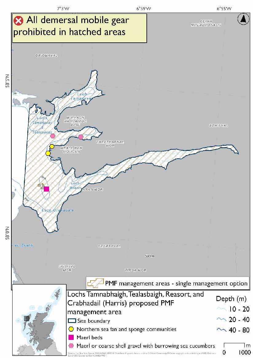 Map shows the area for measures covering Lochs Tamnabhaigh, Tealasbaigh, Resart, and Crabhadail and the adjoining waters. The area's western boundary sits just east of  Fladday in the south and Staca Liath in the north. A maerl bed record is found just east of Grèine Sgeir, with two maerl or coarse shell gravel with burrowing sea cucumbers records in Loch Tealasbaigh. Two northern sea fan and sponge communities records are found on the Meall a' Chruidh headland just south of the mouth of Loch Tealasbaigh.