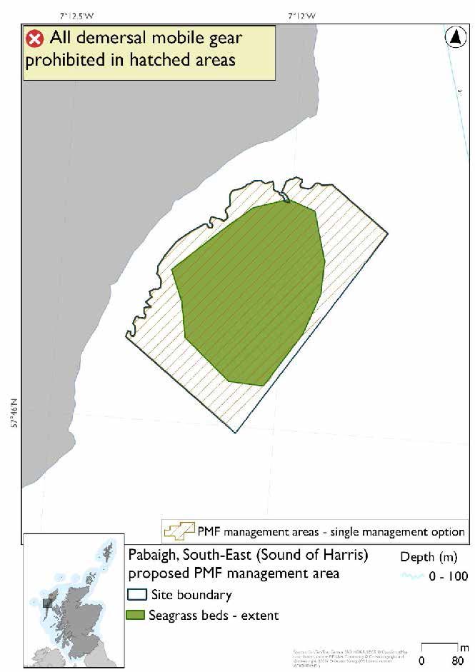 Map shows an area extending from Traigh Baile Fo Thuath on the southeast coast of Pabaigh to be protected. A large seagrass bed occupies most of this area.