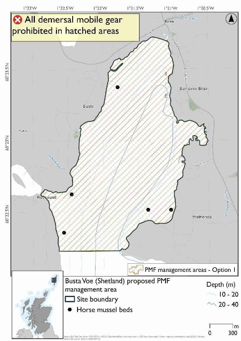 Map shows the area to be protected extending from the  Voe-head on the West to a headland. There are 5 records for horse mussel. One near the voe-head and 4 others near the headland where the protected area stops.