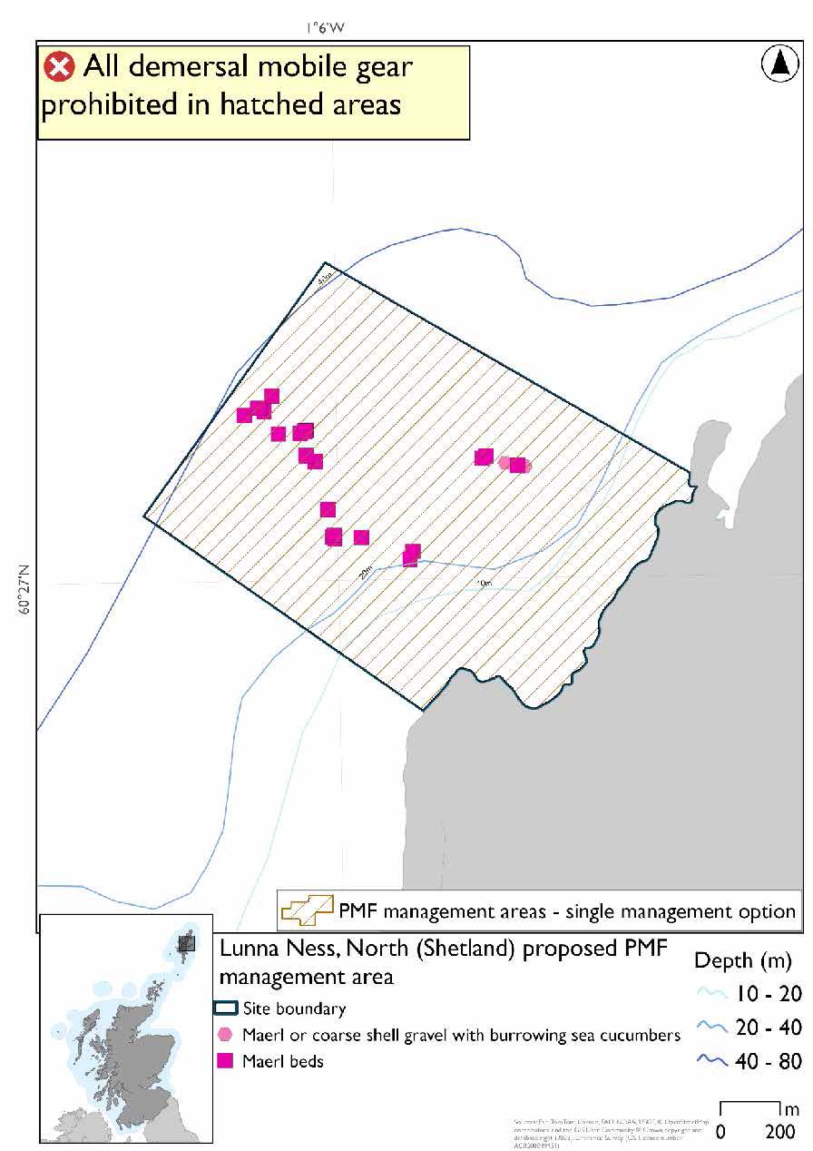 Map shows the area to be protected extending from the north-west coast of Luna Ness out into the sea. 

There are 7 maerl records and 2 maerl or coarse shell gravel with burrowing sea cucumber records spread throughout area between 20 and 40 meter depth contours. 