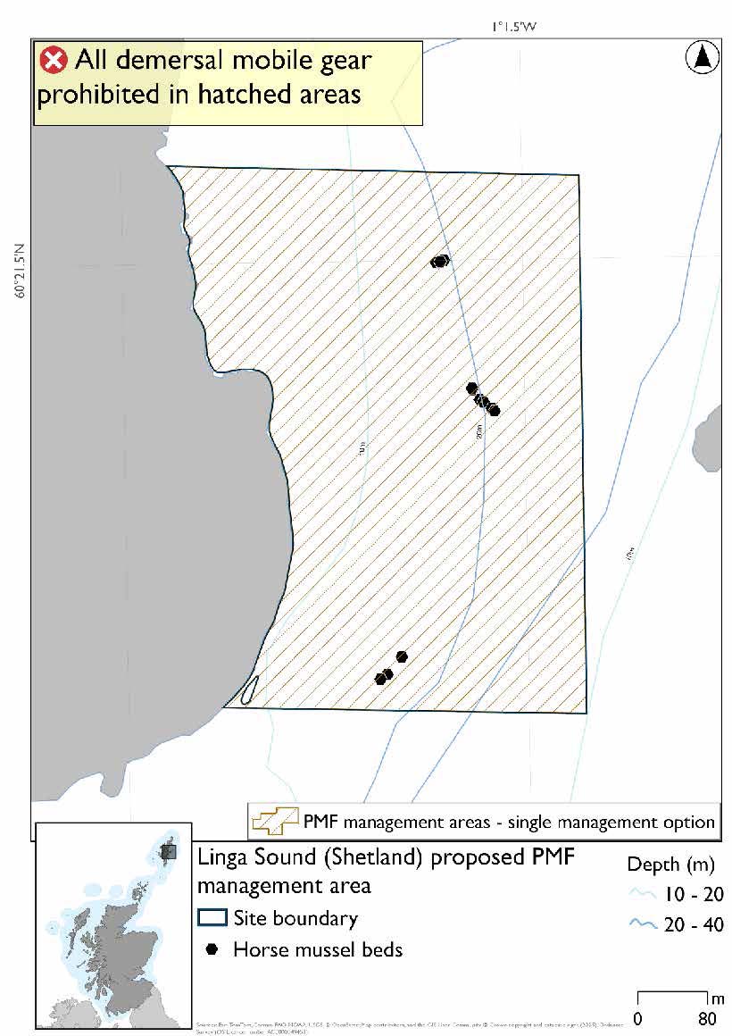 Map shows the area for measures extending from the southern portion of the east coast of Linga into the sound between Linga and Whalsay. There are three groups of horse mussel bed records. One group in the south portion of the area, one group in the centre and one group in the north. 