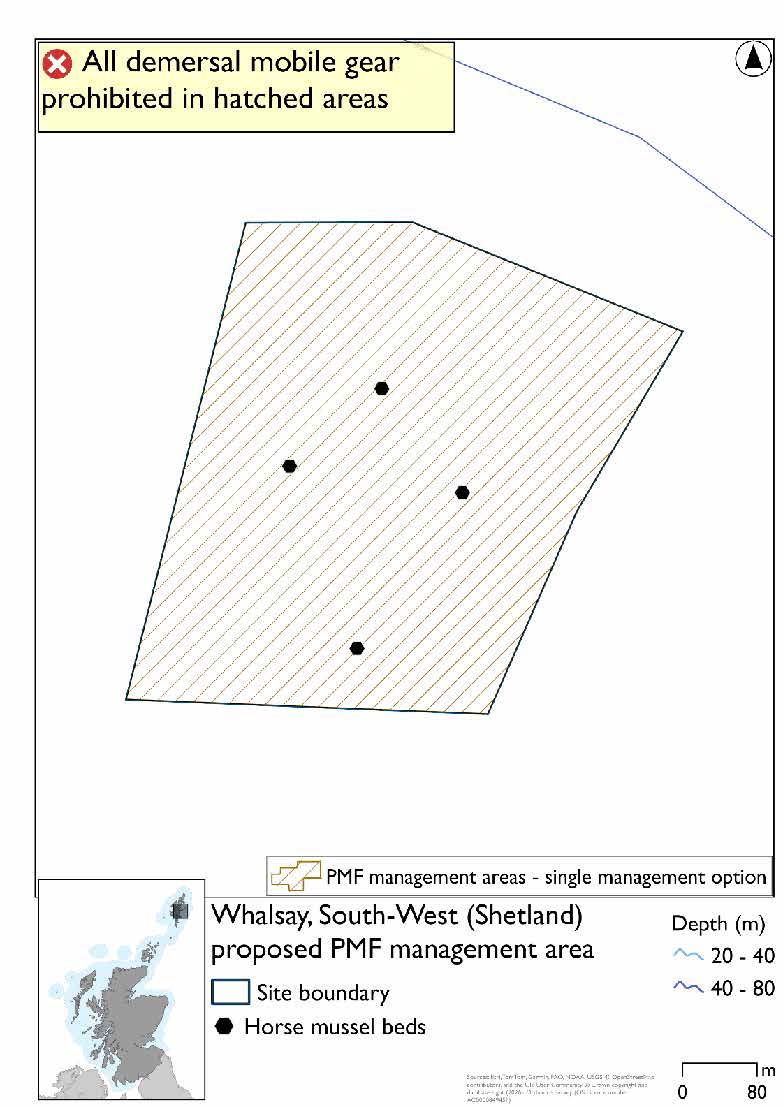 Map shows the area to be protected in open sea off the south-west coast of Whalsay Island. There are four records for horse mussel beds. Three spread in the middle of the area and one in the southern portion.