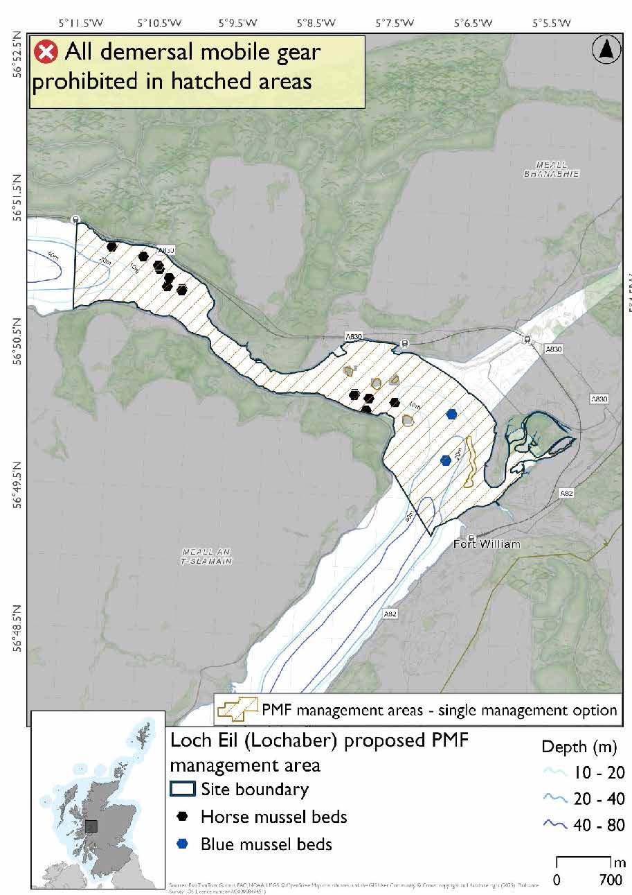 Map shows the area to be protected extending from the head of the loch, extending south partially to Fort William and further West to the Loch Eil Outward Bound train station. There are 7 horse mussel records near the Loch Eil train station and 5 other records near the head of the loch. There are also 2 blue mussel records at the mouth of the loch although the area was not proposed for these. 