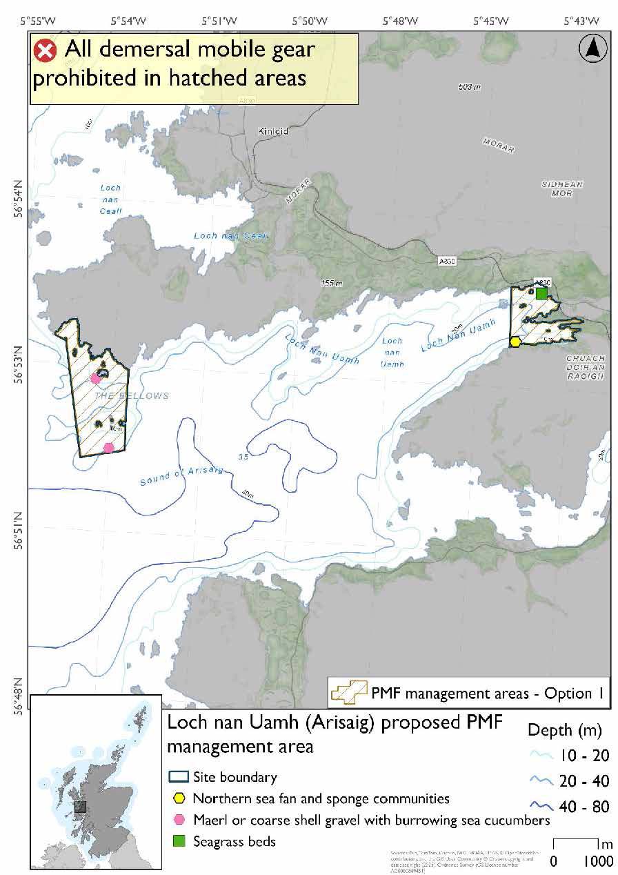 Map shows the area for measures covering two split areas. One at loch head by the Loch nan Uamh viaduct with a single seagrass record and northern sea fan and sponge communities record. 

The second area is on the northern side of the Loch by it's mouth. Area extending south into the sea from the coast south east of Rhu Point beach. There are two maerl or coarse shell gravel with burrowing sea cucumber records. One close to a skerry by the coast and one further south into the loch. 