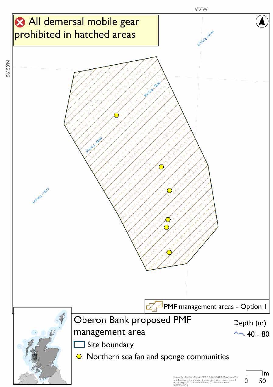 Map shows the area covering part of the Oberon bank, a submerged sandbank near the Sound of Jura. 

There are 6 northern sea fan and sponge communities records present. 