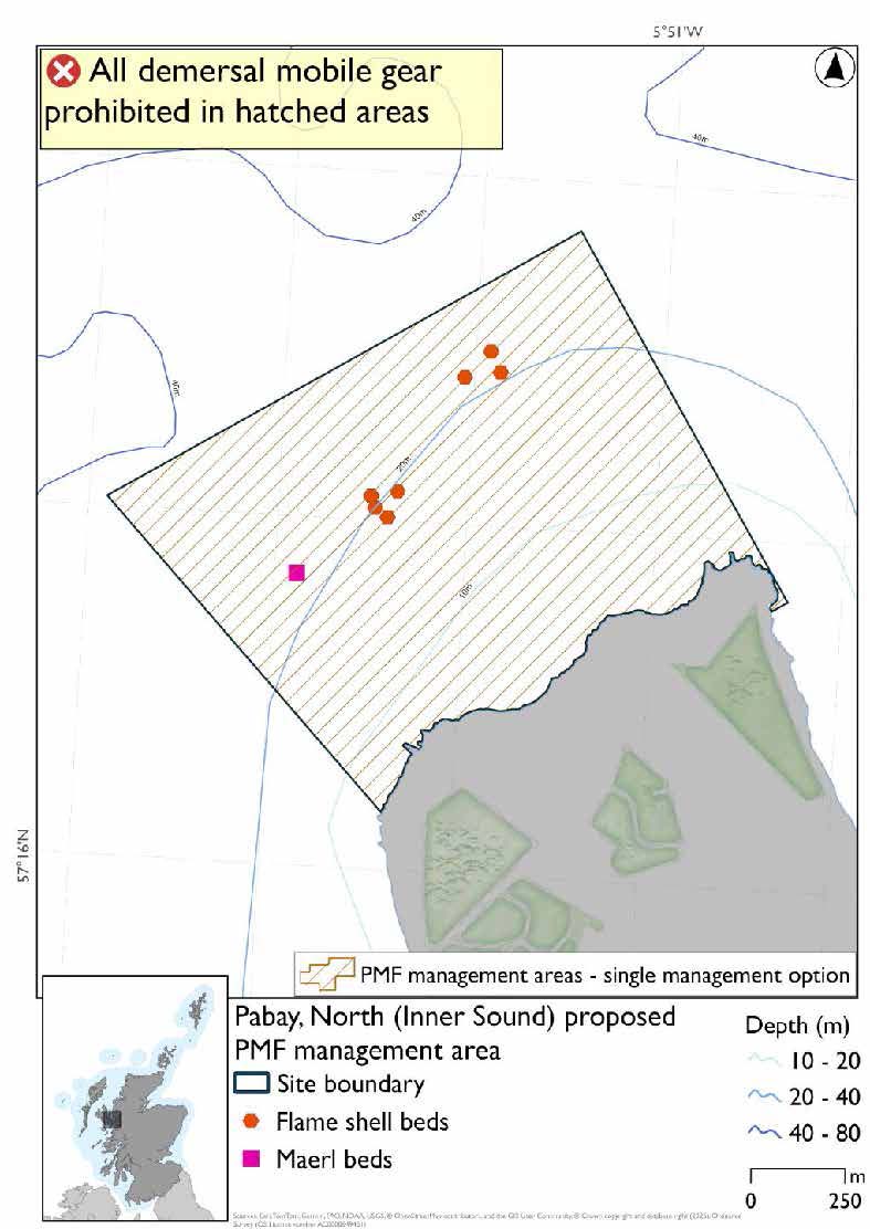Map shows the area to be protected extending from the North coast of Pabay in the Inner Sound. There is  1 maerl records further away from the coast around the 40m depth contour on the western side of the proposed area and 6 flame shell records in the middle of the area and towards the north east also following the 40m depth contour. 