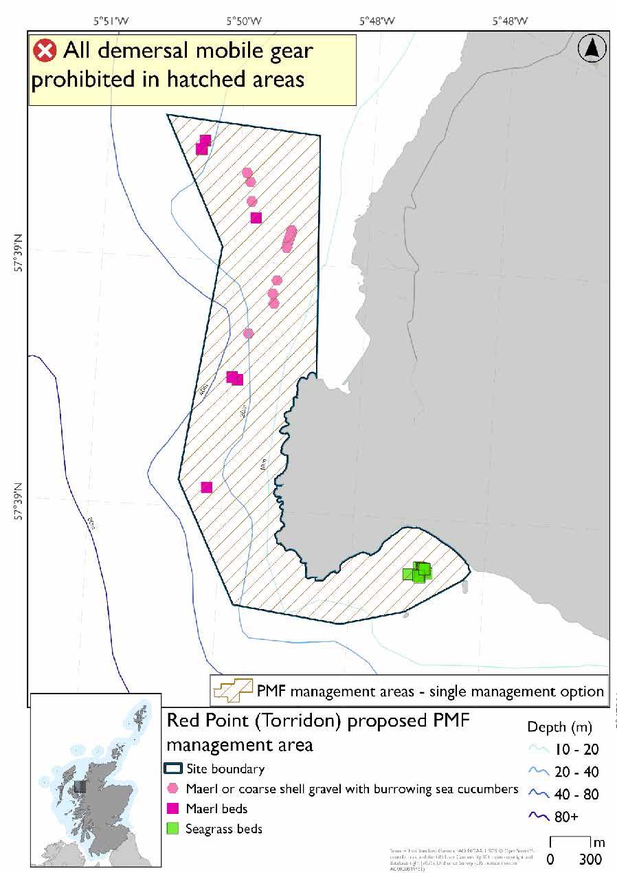 Map shows the area to be protected extending from the sea north of red point, then joining the coast at red point beach and extending round the coast into the mouth of loch Torridon. 

There are 2 maerl records at the north end of the proposed area and another of off Red Point. There are 7 records and a large cluster of maerl or coarse shell gravel with burrowing sea cucumbers in the north part of the area off the coast north of red point. 

There is also a large cluster of seagrass records south East of Red Point in the mouth of Loch Torridon

