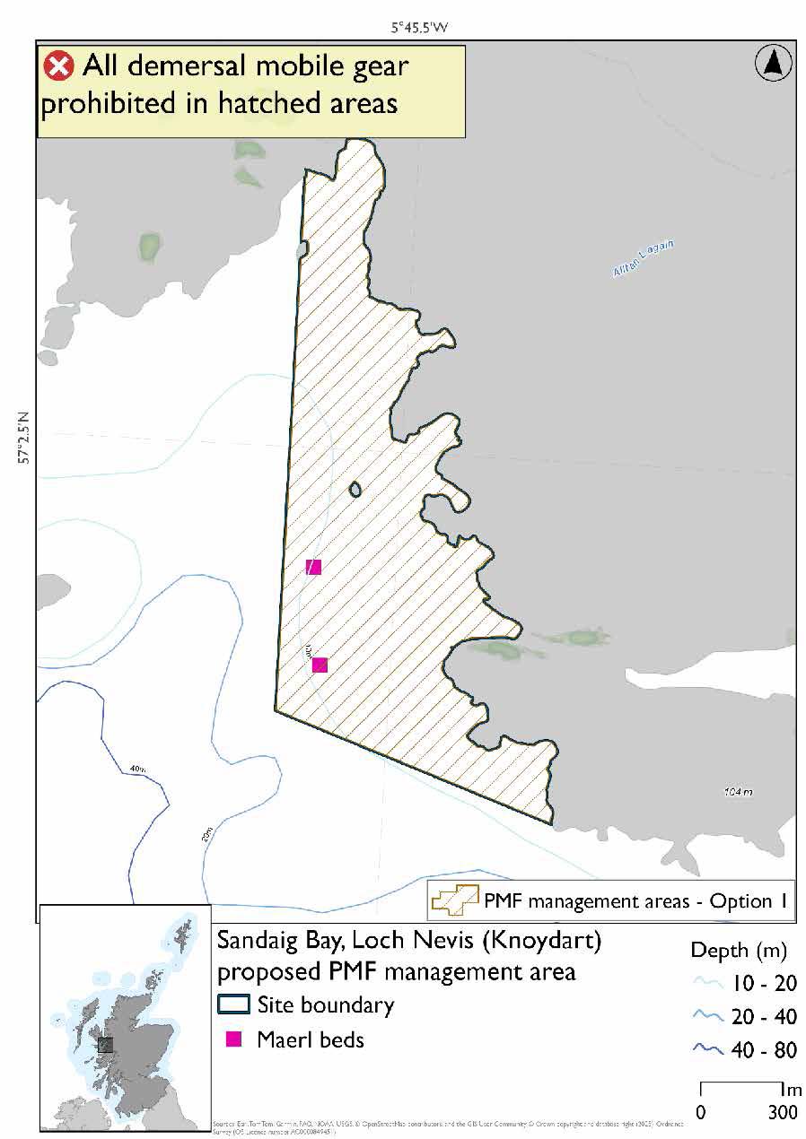 Map shows the area extending from the coast out into the bay to form a point. 

There are two maerl records by the point just past a small skerry. 