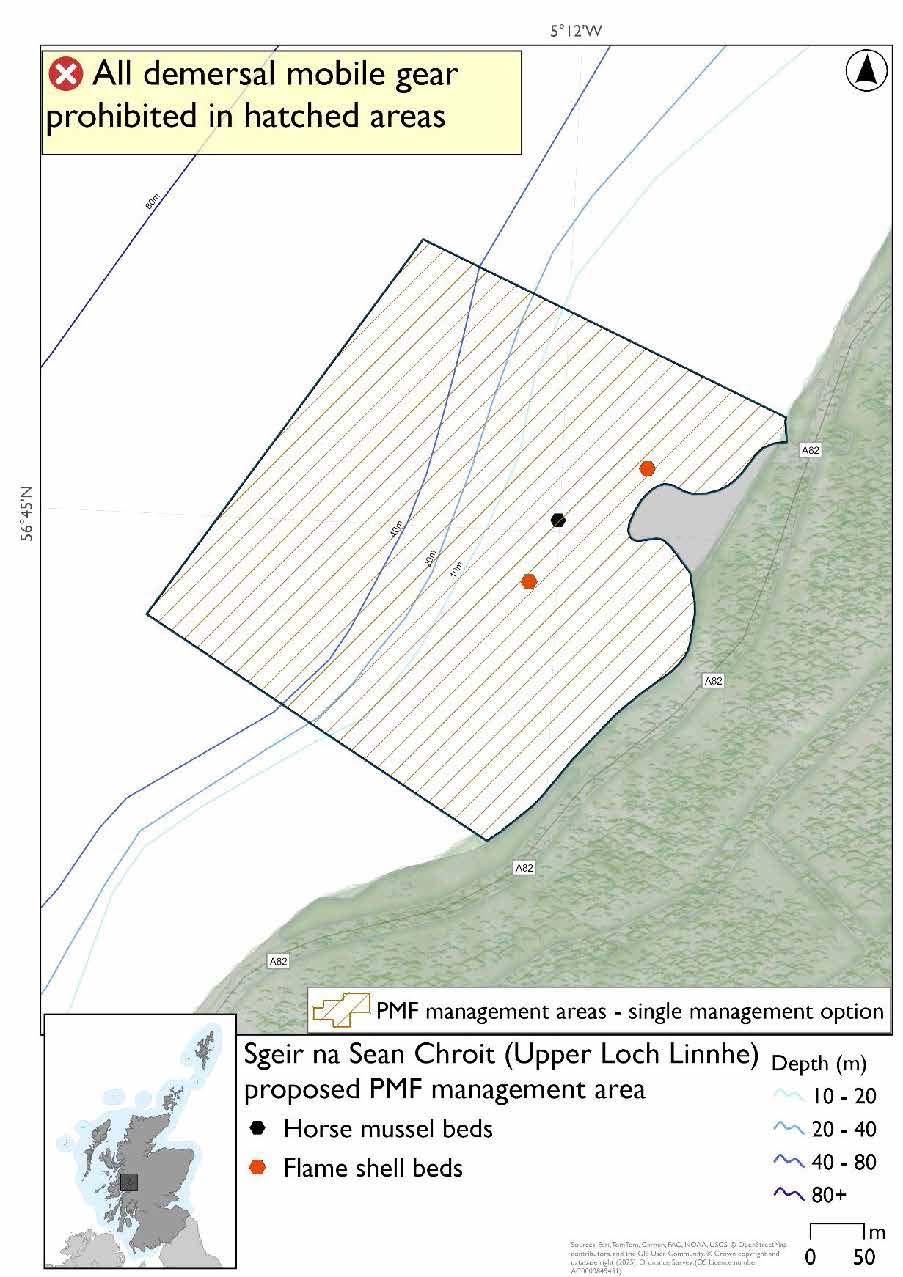 Map shows the area to be protected extending from the southern coast of Loch Linnhe, north east of Corran and stretches some 400m across. 

There are 2 flame shell records and one horse mussel record near the coast by the Linnhe picnic area.