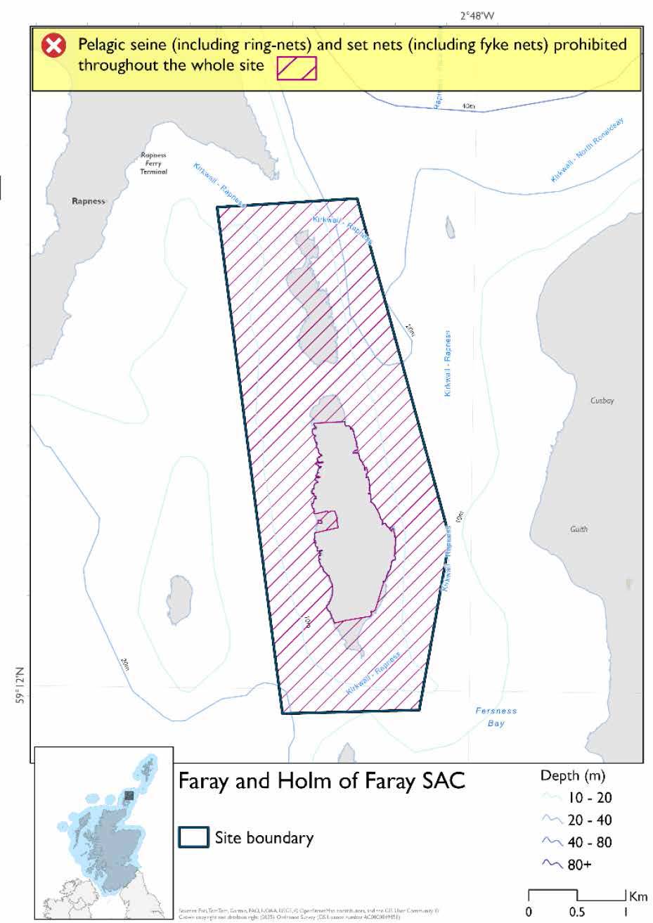 Single option map of Faray and Holm of Faray Special Area of Conservation (SAC) in Scotland, showing conservation boundaries, depth contours, and areas where pelagic seine and set nets are prohibited throughout the site.
