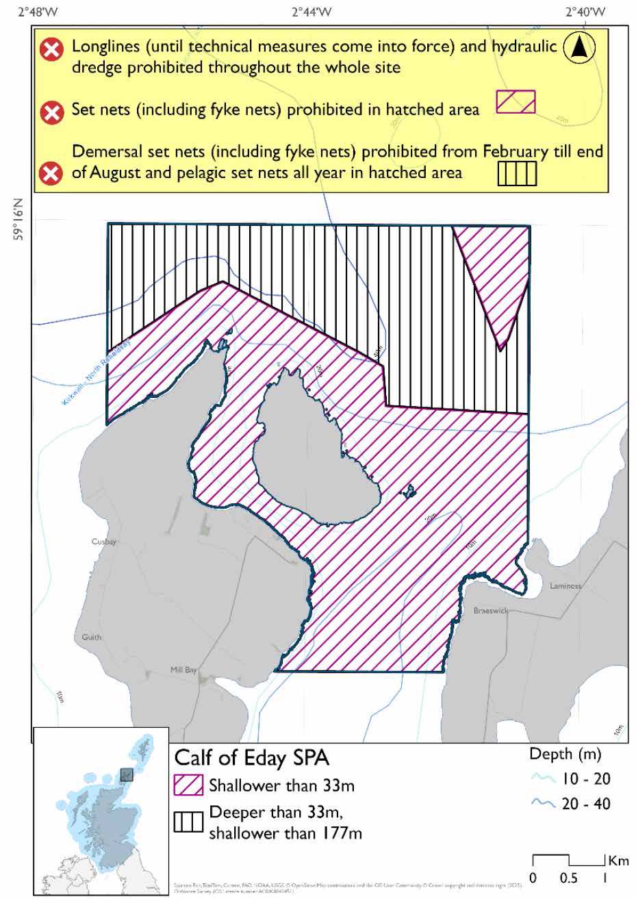 Map shows Calf of Eday SPA, a square shaped area covering the waters surrounding Calf of Eday cut into by the Eday and Sanday coasts and stretching northwards. The majority of the area is shallower than 33m, with the northern third deeper than 33m but shallower than 177m except a small part of the northeast which is shallower than 33m. In the areas shallower than 33m set nets (including fyke nets) are prohibited. In the deeper areas pelagic set nets are prohibited year round, with demersal set nets (including fyke nets) prohibited February to end of August. Longlines (until technical measures come into force), and hydraulic dredges are  prohibited throughout the SPA.