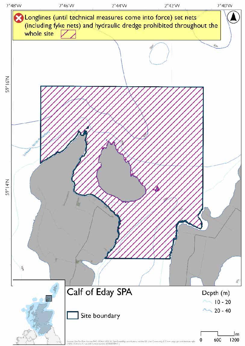 Map shows Calf of Eday SPA, a square shaped area covering the waters surrounding Calf of Eday cut into by the Eday and Sanday coasts and stretching northwards. Set nets (including fyke nets), longlines (until technical measures come into force), and hydraulic dredges are  prohibited throughout the SPA.