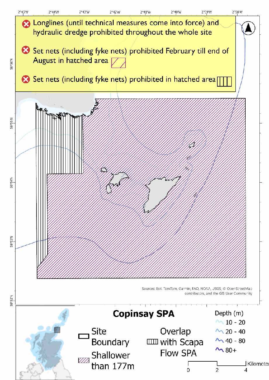 Map shows Copinsay SPA, a large area of waters surrounding Copinsay and Corn Holm extending outwards in a roughly square shape, with an indent below where it meets the Orkney mainland in the northwest.  Set nets (including fyke nets) are prohibited across the site from February till end of August apart from overlapping area with the Scapa Flow SPA where set nets (including fyke nets) are prohibited all year . Hydraulic dredges, longlines (until technical measures come into force).
