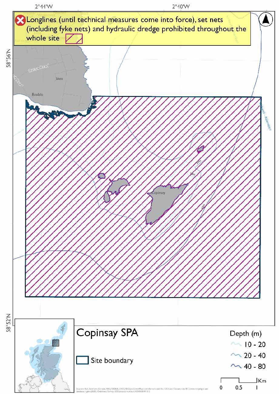 Map shows Copinsay SPA, a large area of waters surrounding Copinsay and Corn Holm extending outwards in a roughly square shape, with an indent below where it meets the Orkney mainland in the northwest.  Hydraulic dredges, longlines (until technical measures come into force), and set nets (including fyke nets) are prohibited year round.