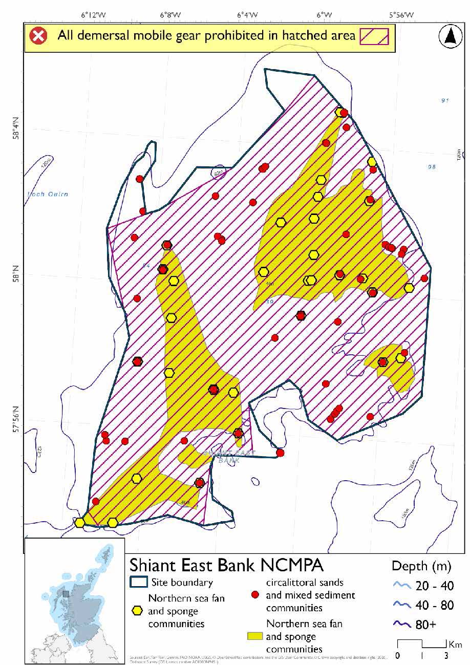 Option 1 map shows the Shiant East Bank Nature Conservation Marine Protected Area (NCMPA) located in the North Minch between the mainland and the Outer Hebrides. The site exists on a bank between 40m and 80m deep. Circalittoral sands and mixed sediment communities records exist across the site, with two large areas of northern sea fan and sponge communities in the northeast and southwest of the area, and a smaller such area in the southeast. Point data evidencing northern sea fan and sponge communities exist within these large areas, as well as one point to the northeast of the northeastern large area. All but some small protruding areas in the northwest and south of the site is covered by a prohibition on all demersal mobile gear.