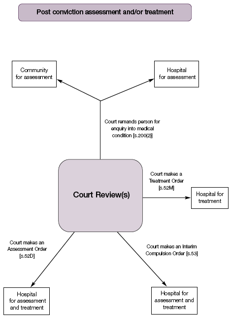 Post conviction assessment and/or treatment flowchart