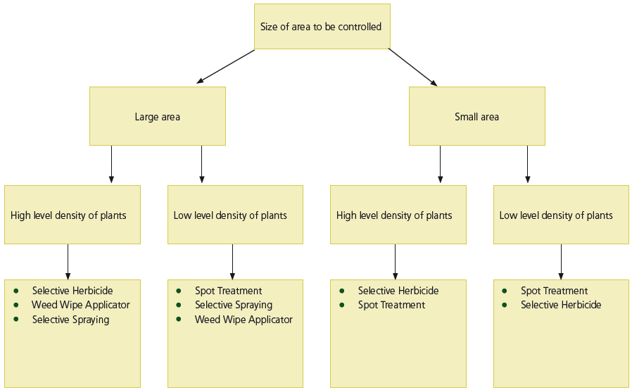 Figure 3. Decision Tree to Assist Selecting the Most Appropriate Herbicide Treatment According to Size of Area and Level of Density of Plants