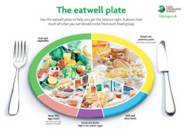 The 'eatwell plate'