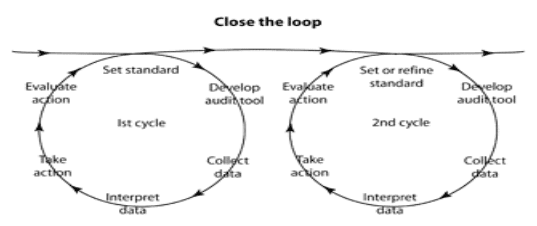 audit cycle or spiral