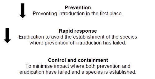 The Scottish Government's approach to non-native species is guided by a three-stage hierarchical approach