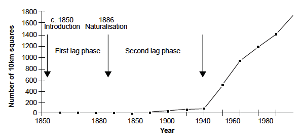 Figure 1: The Lag Phase of Japanese knotweed from, Child, L. and Wade, M. 2000. The Japanese Knotweed Manual. Packard Publishing Limited, Chichester.