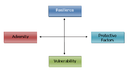 Resilience graph