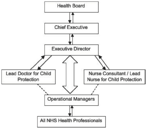 Health Board accountability structure