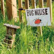 bug house