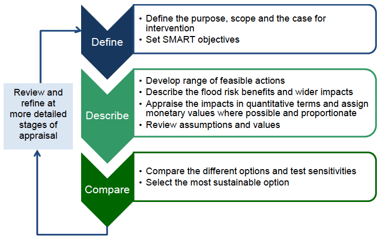 Figure 2.1: Summary of main stages in appraisal