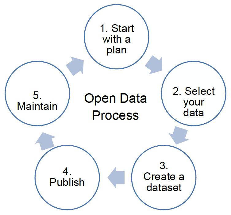 5 Step Open Data Process