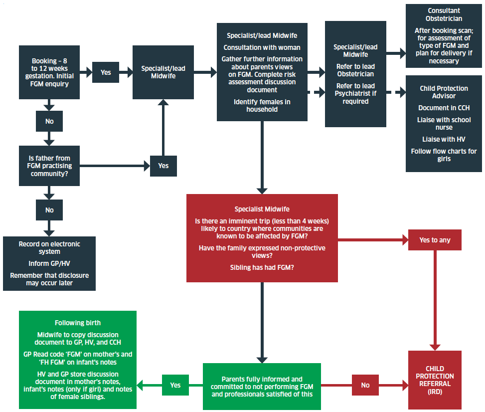 Flow chart for pregnant woman from country where FGM is practised