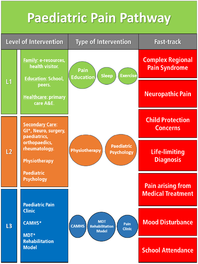 Figure 1: Paediatric Pain Pathway