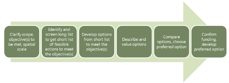 Figure 7.1 Steps in option appraisal