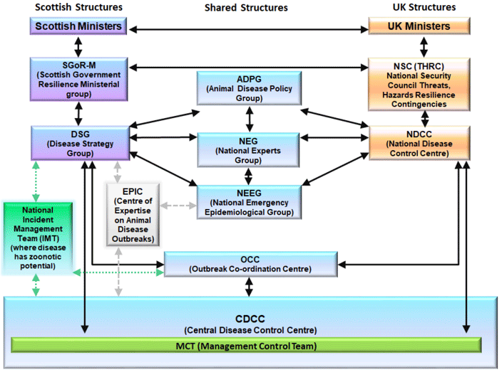 Figure 2 - Structural relationships between GB and Scottish control structure