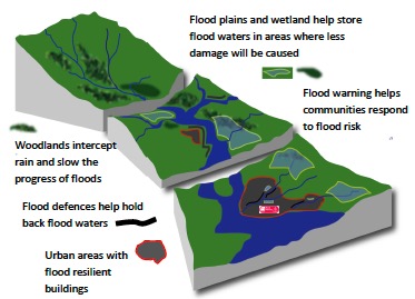 Figure 1 Examples of actions to tackle flood risk 