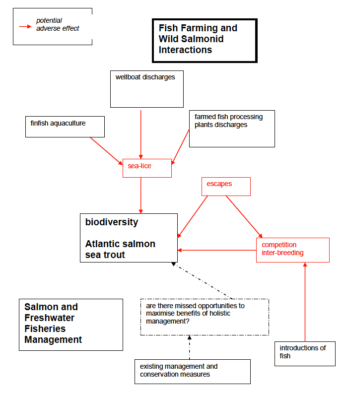 Figure 5. Potential cumulative effects of finfish aquaculture and salmon conservation measures on biodiversity: baseline