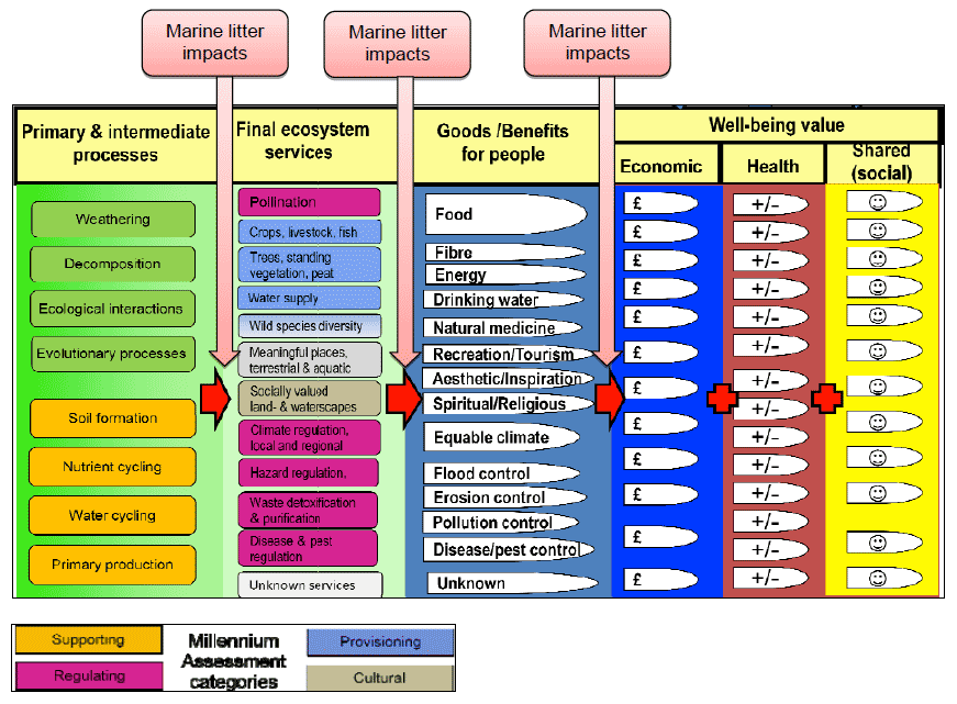 Figure 3‑5 The interaction of litter with ecosystem services and benefits. Adapted from NE
