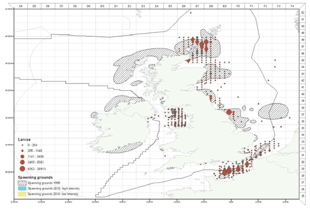 Figure 14 Herring spawning grounds Figure 14 Herring spawning grounds