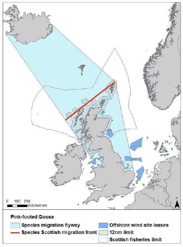 Figure 7: Migration flyaway of pink-flooted goose passing Scottish waters Figure 7: Migration flyaway of pink-flooted goose passing Scottish waters