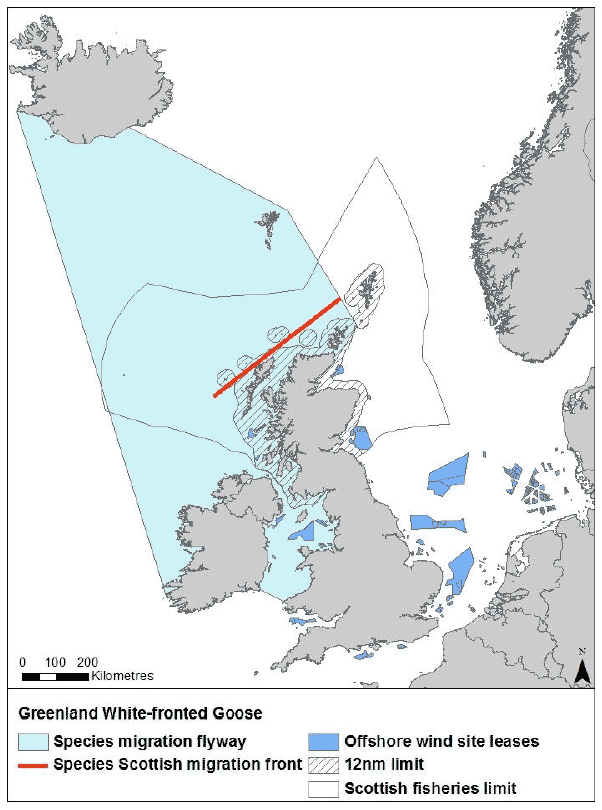 Figure 8: Migration flyaway of Greenland white-fronted goose passing Scottish waters Figure 8: Migration flyaway of Greenland white-fronted goose passing Scottish waters