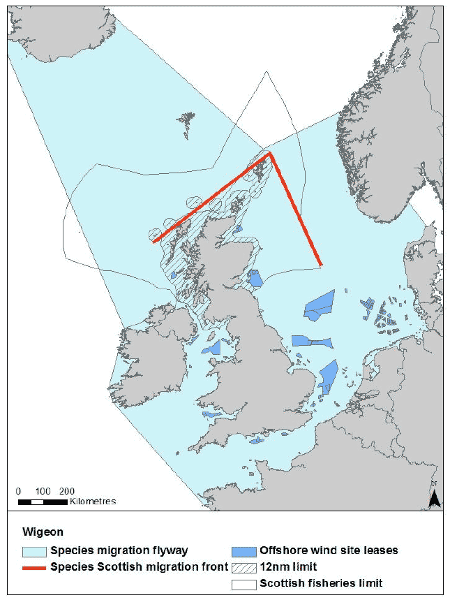 Figure 14: Migration flyway of wigeon passing through Scottish waters Figure 14: Migration flyway of wigeon passing through Scottish waters