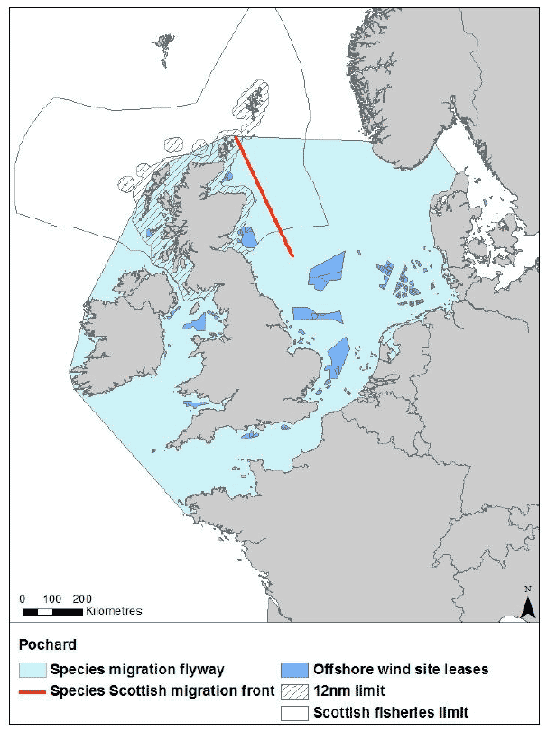 Figure 17: Migration flyway of pochard passing Scottish waters Figure 17: Migration flyway of pochard passing Scottish waters