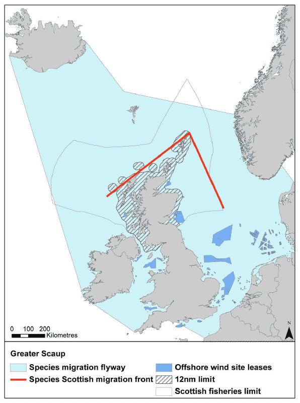 Figure 19: Migration flyway of scaup passing Scottish waters Figure 19: Migration flyway of scaup passing Scottish waters