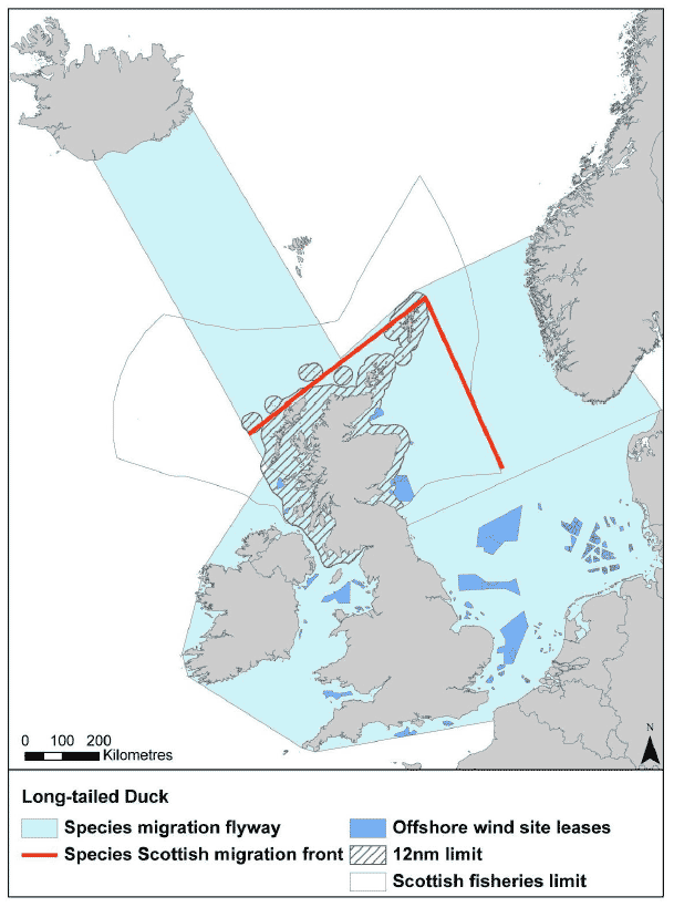 Figure 20: Migration flyway of long-tailed duck passing Scottish waters Figure 20: Migration flyway of long-tailed duck passing Scottish waters