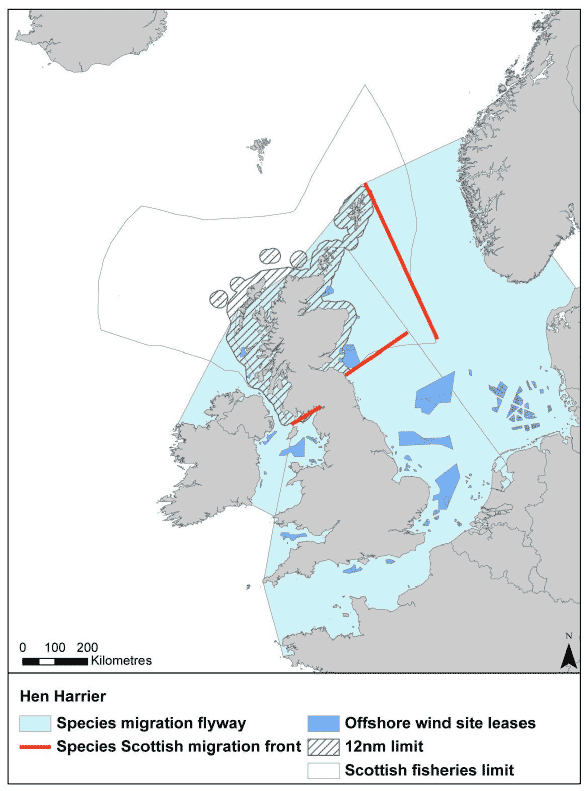 Figure 23: Migration flyway of hen harrier passing Scottish waters Figure 23: Migration flyway of hen harrier passing Scottish waters