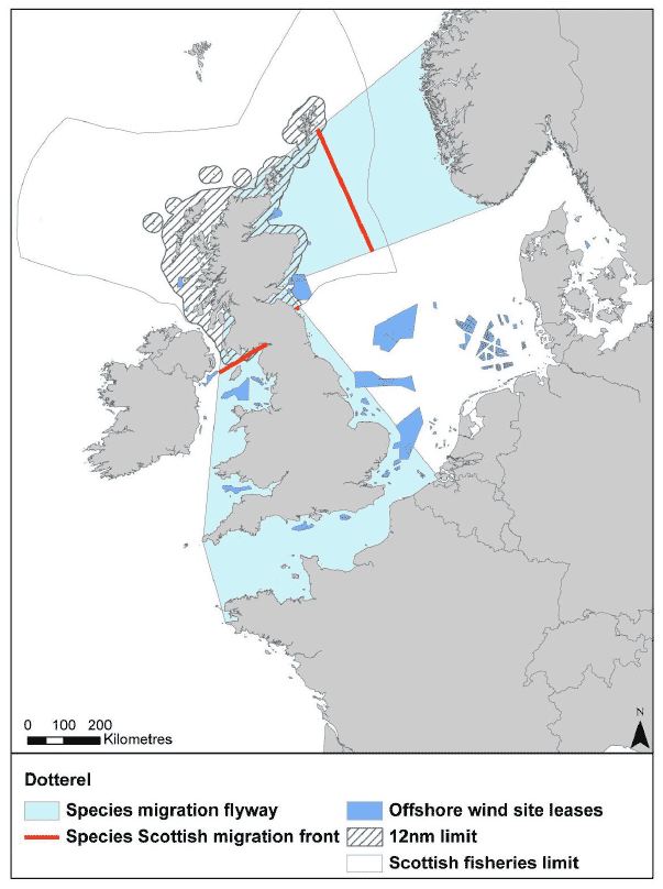Figure 28: Migration flyway of dotterel passing Scottish waters Figure 28: Migration flyway of dotterel passing Scottish waters